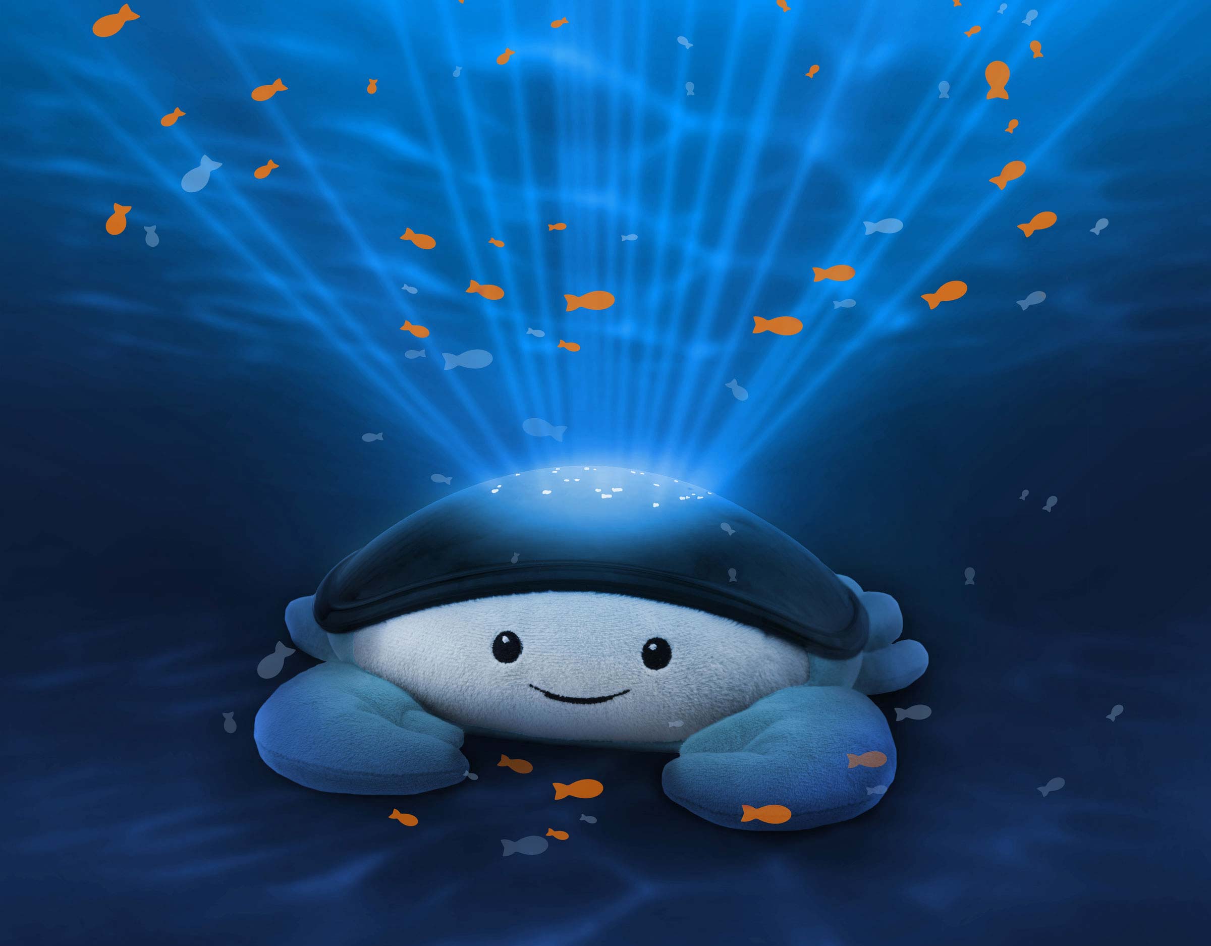 CODY_Front-NEW-2400x1875-1