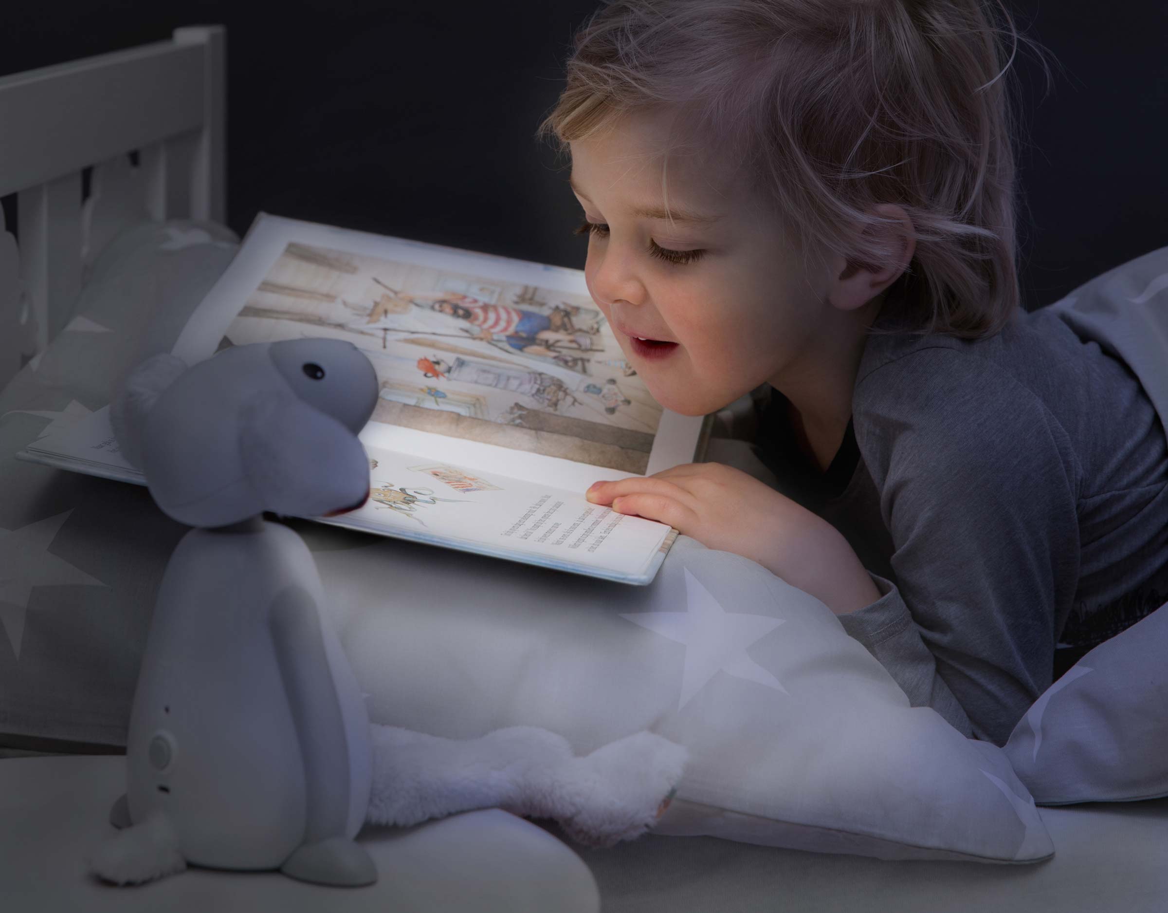 FIN-Grey-Read-NEW-2400x1875-1