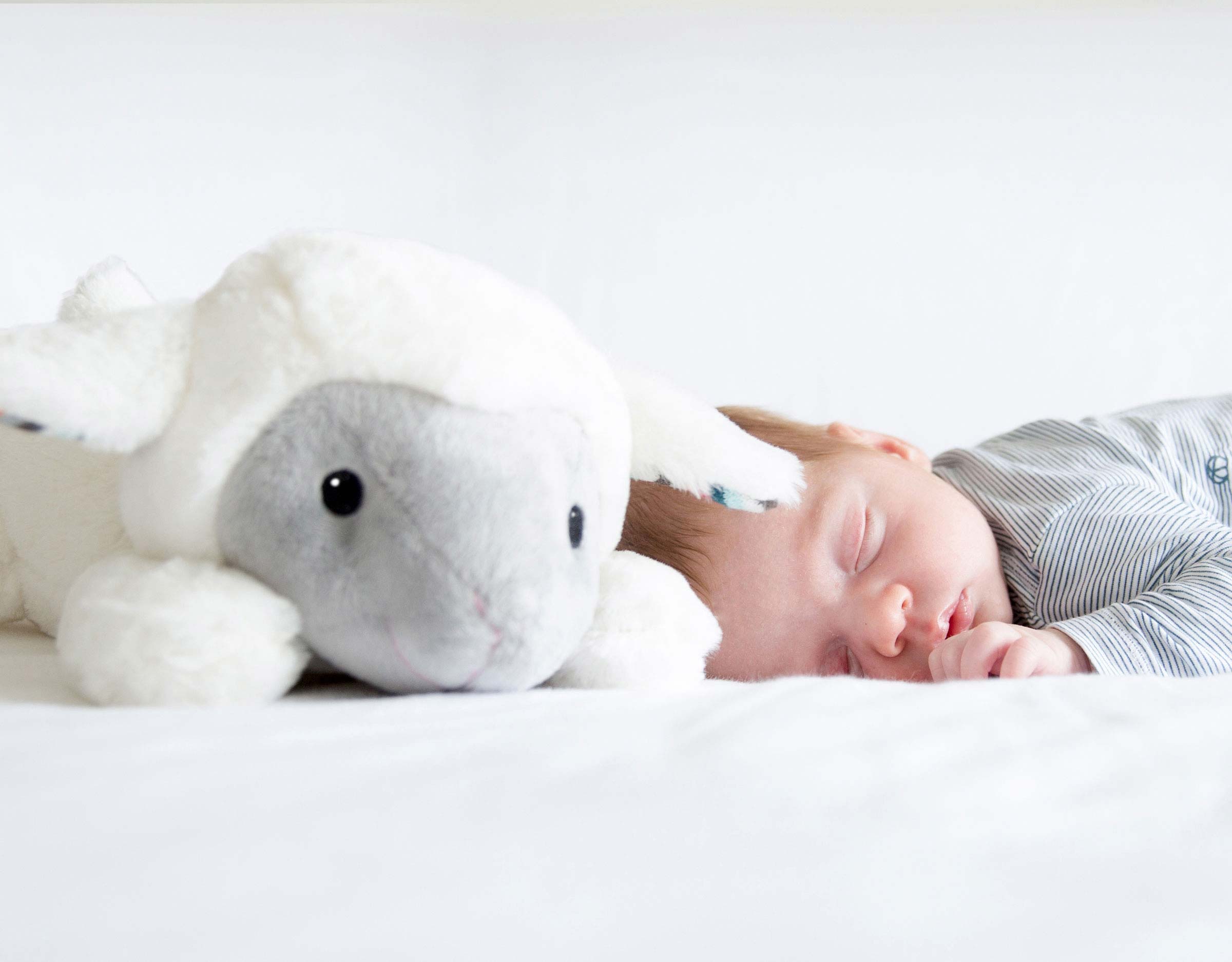 LIZ-Shake-sensor-NEW_2400x1875