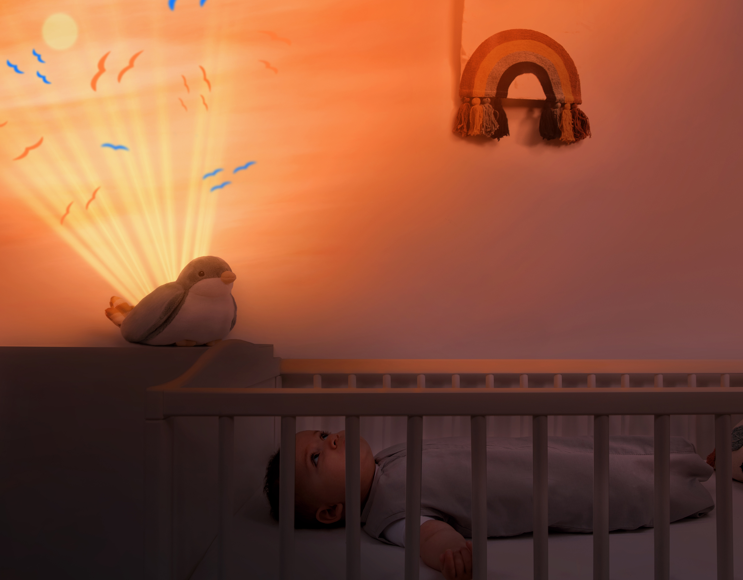 SHALLY_Sunset-WEB-092022-LR