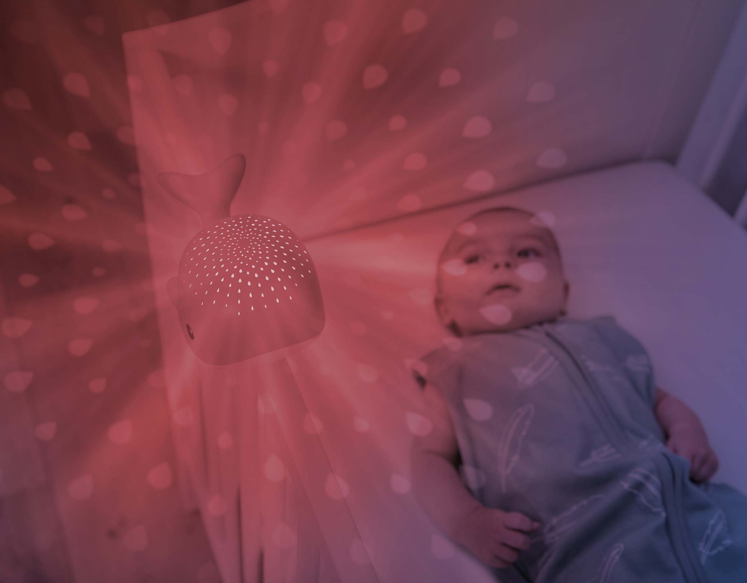 WALLY-Red-projection-NEW-2400x1875-1